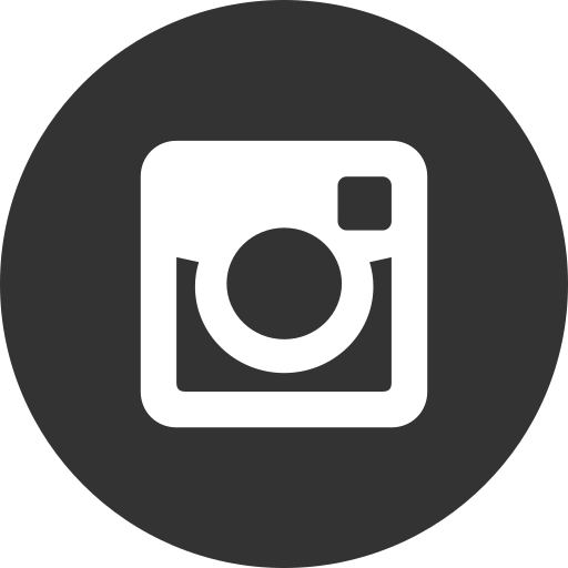 734395 instagram media online photo social icon