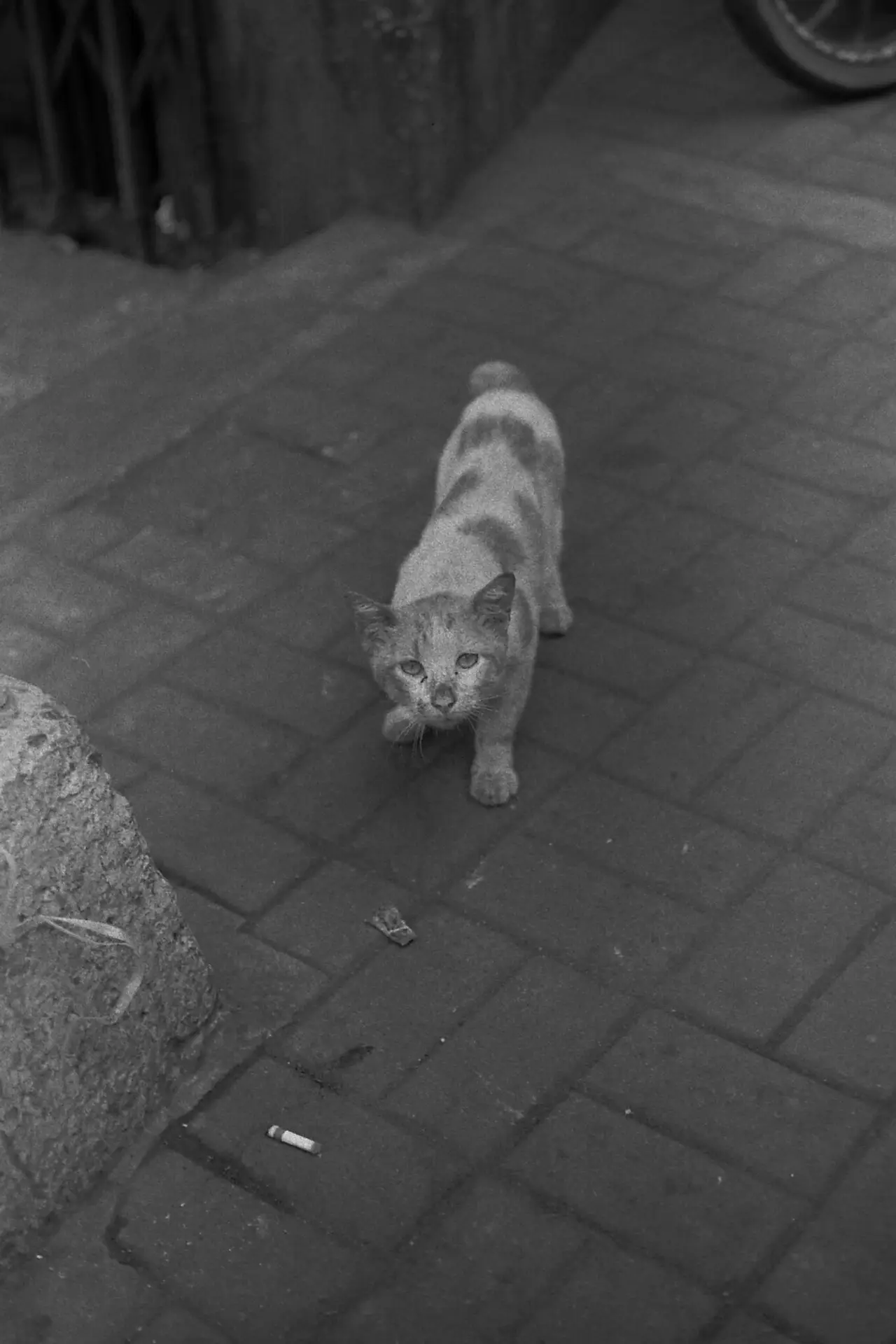 Chinese new Year - Binondo